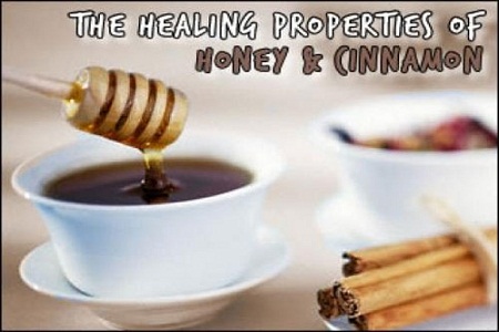 Xã hội - Chuyện lạ về những bài đông y bồi bổ cho chim cảnh