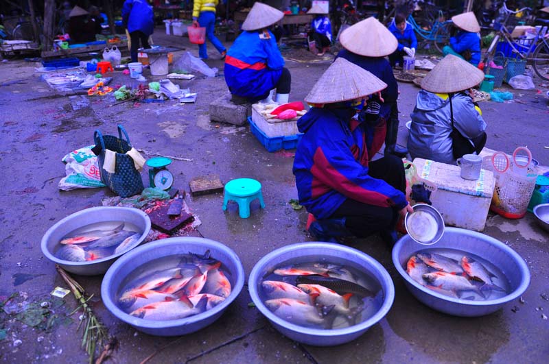 Xã hội - Ảnh: Tấp nập chợ quê đầu năm (Hình 8).