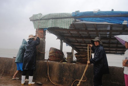 Nhịp sống - Ảnh: Người dân chằng néo nhà cửa đối phó siêu bão (Hình 3).