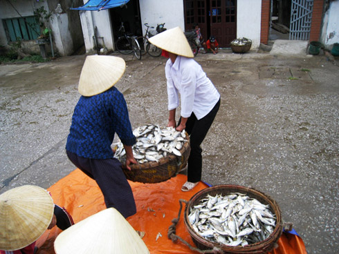 Nhịp sống - Ảnh: Người dân chằng néo nhà cửa đối phó siêu bão (Hình 5).