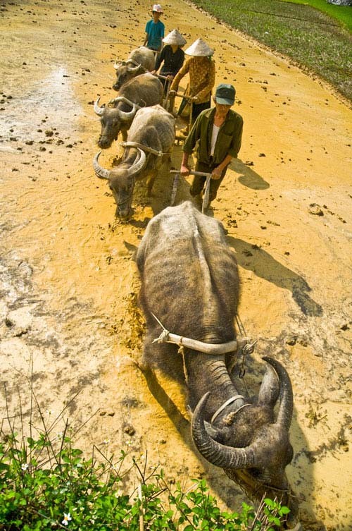 Xã hội - Khoảnh khắc cuộc sống dưới góc nhìn sinh viên (Hình 11).