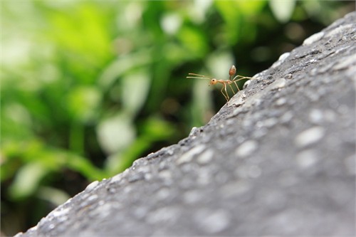 Xã hội - Những tác phẩm ấn tượng nhất Canon PhotoMarathon (Hình 3).