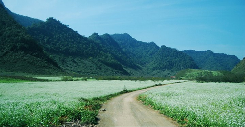 Xã hội - Ảnh du lịch Việt Nam bốn mùa tuyệt đẹp (Hình 13).