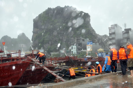 Nhịp sống - Các tỉnh Hải Phòng – Quảng Ninh khẩn cấp tránh bão (Hình 3).