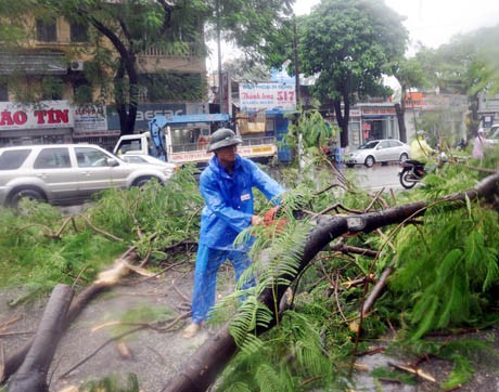 Nhịp sống - Các tỉnh Hải Phòng – Quảng Ninh khẩn cấp tránh bão (Hình 2).