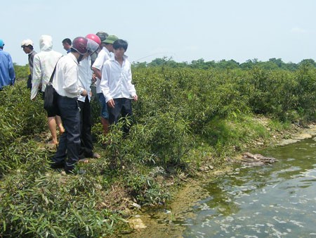 Xã hội - Xôn xao rắn hổ mang chúa chết hàng loạt gần đền