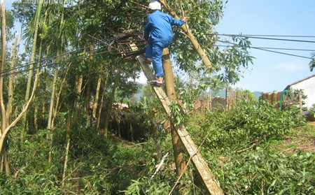 Nhịp sống - Lốc xoáy kinh hoàng cuốn 115 ngôi nhà ở Quảng Ngãi (Hình 4).