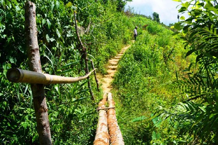 Xã hội - Những đứa trẻ gian nan vượt rừng đi tìm con chữ (Hình 2).