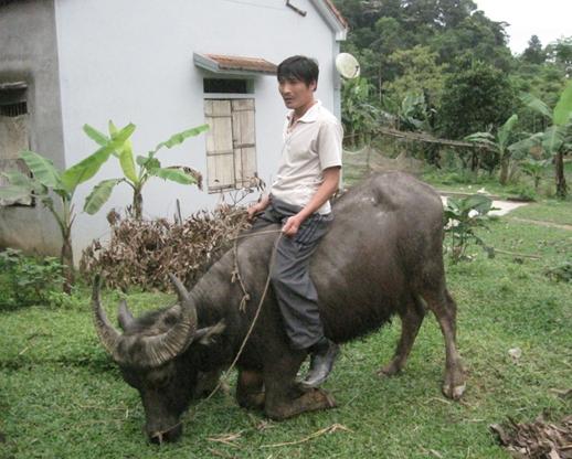 Ph&aacute;p luật - Gặp mặt kỳ nh&acirc;n ngậm điện, thuần phục tr&acirc;u dữ (H&igrave;nh 3).