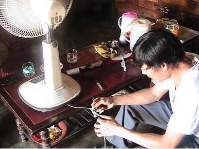 Ph&aacute;p luật - Gặp mặt kỳ nh&acirc;n ngậm điện, thuần phục tr&acirc;u dữ (H&igrave;nh 2).