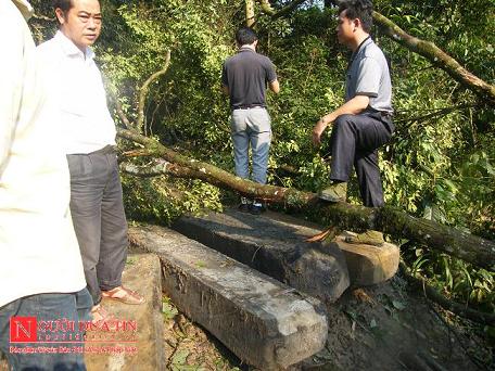 Xã hội - Bắt khẩn cấp 6 đối tượng vụ phá rừng lớn nhất Hà Tĩnh
