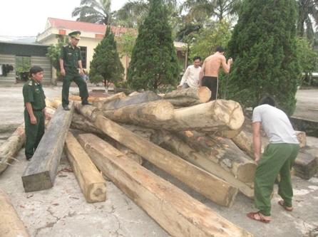 Xã hội - Hà Tĩnh: Bắt 4 vụ vận chuyển gỗ lậu trong đêm