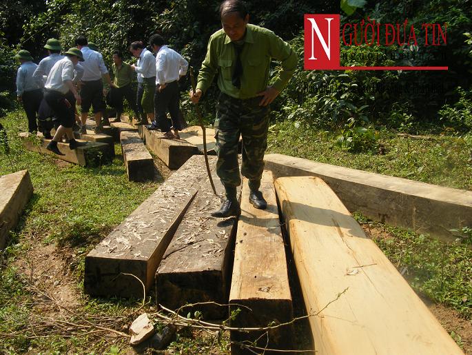 Xã hội - Tàn sát nghiêm trọng rừng nguyên sinh Hà Tĩnh (Hình 2).