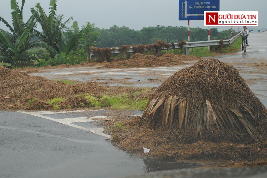 Xã hội - Rơm rạ, mạ non mọc đầy trên đường Hồ Chí Minh