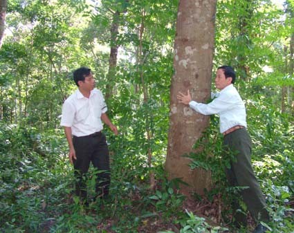 Miền trung - Chi cục trưởng kiểm lâm bán 150 ha rừng lấy 120 triệu (Hình 2).