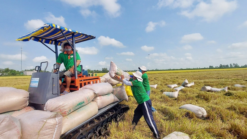 Những "dấu chân" mở lối, đưa kinh tế Việt Nam hội nhập toàn cầu- Ảnh 13.