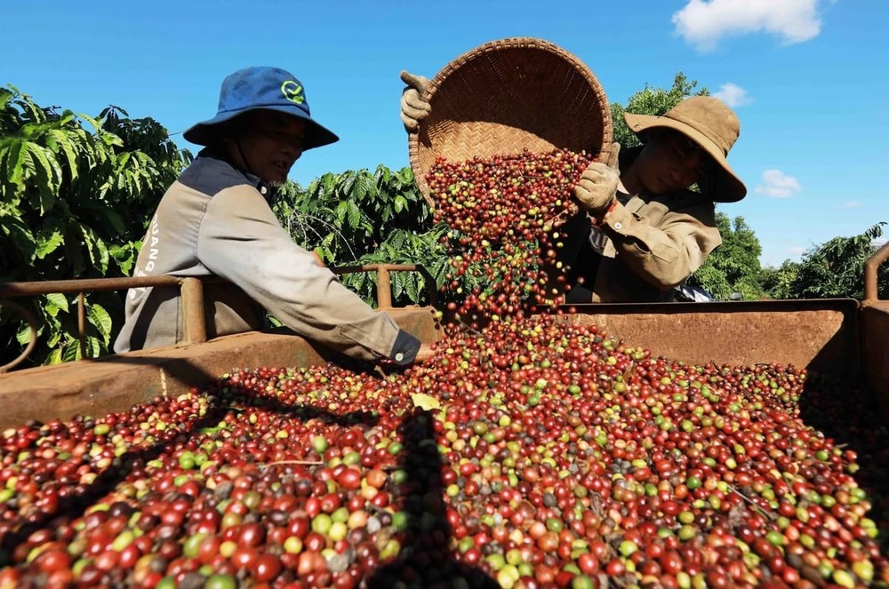 Những "dấu chân" mở lối, đưa kinh tế Việt Nam hội nhập toàn cầu- Ảnh 15.