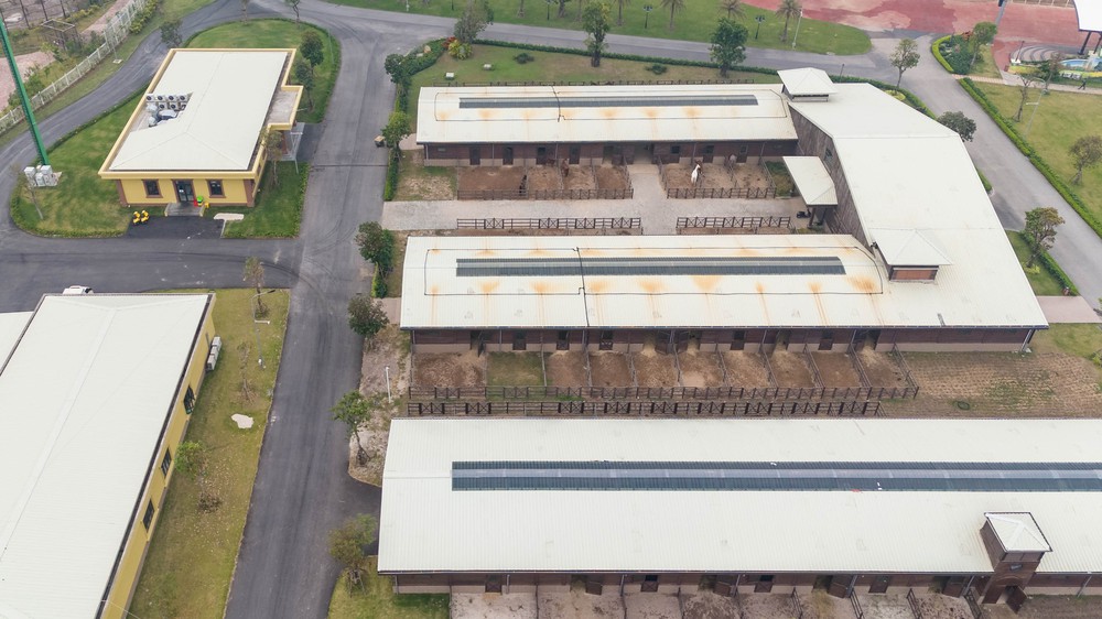 Cận cảnh chế độ chăm s&oacute;c đặc biệt "tuấn m&atilde;" triệu đ&ocirc; tại Hải Ph&ograve;ng- Ảnh 4.