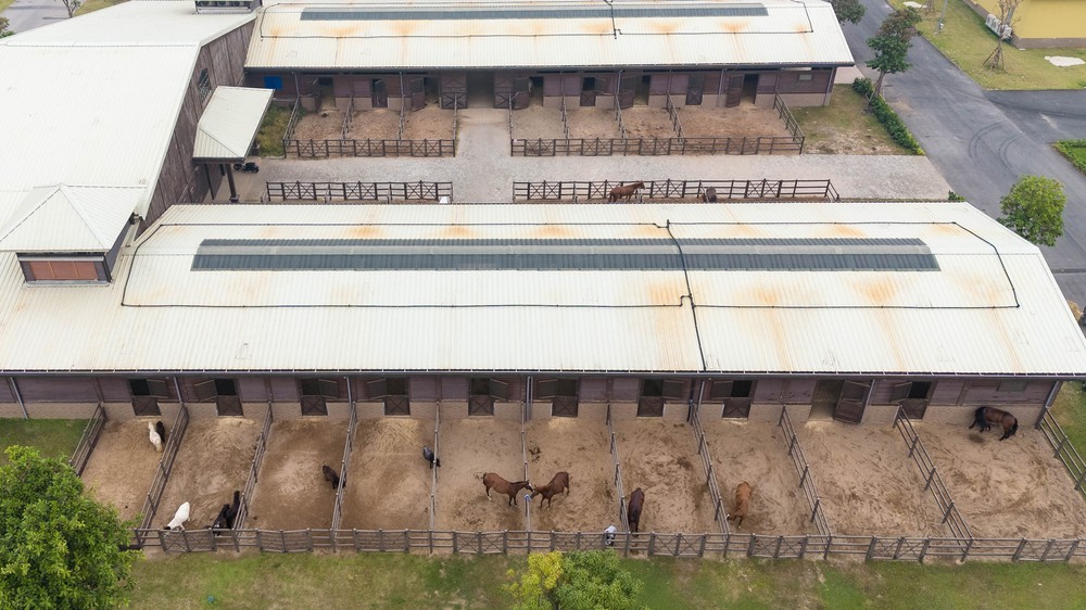 Cận cảnh chế độ chăm s&oacute;c đặc biệt "tuấn m&atilde;" triệu đ&ocirc; tại Hải Ph&ograve;ng- Ảnh 3.