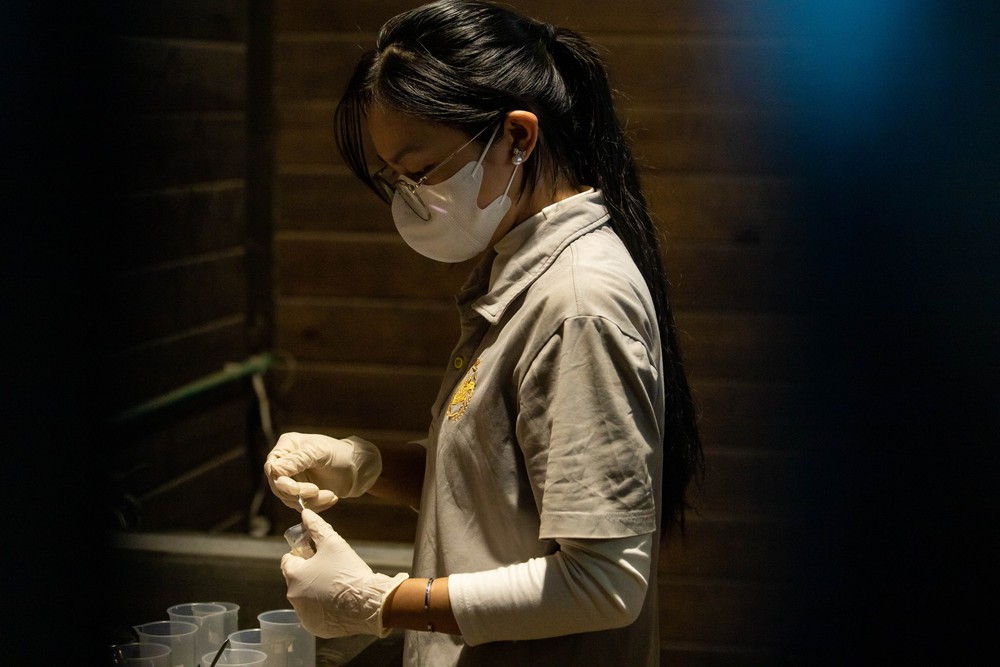 Cận cảnh chế độ chăm s&oacute;c đặc biệt "tuấn m&atilde;" triệu đ&ocirc; tại Hải Ph&ograve;ng- Ảnh 11.