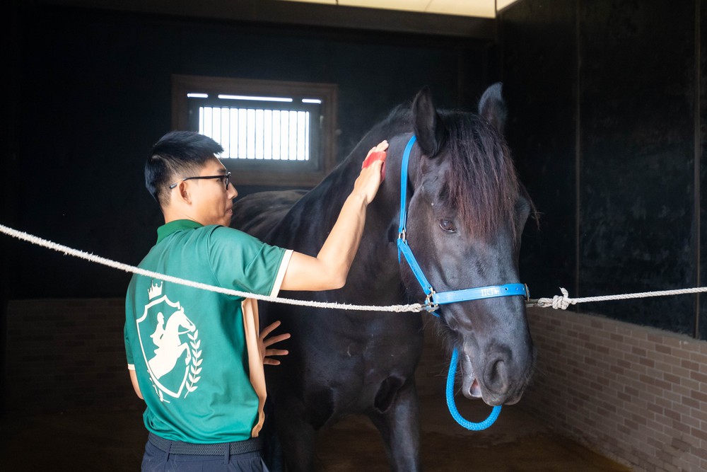 Cận cảnh chế độ chăm s&oacute;c đặc biệt "tuấn m&atilde;" triệu đ&ocirc; tại Hải Ph&ograve;ng- Ảnh 9.