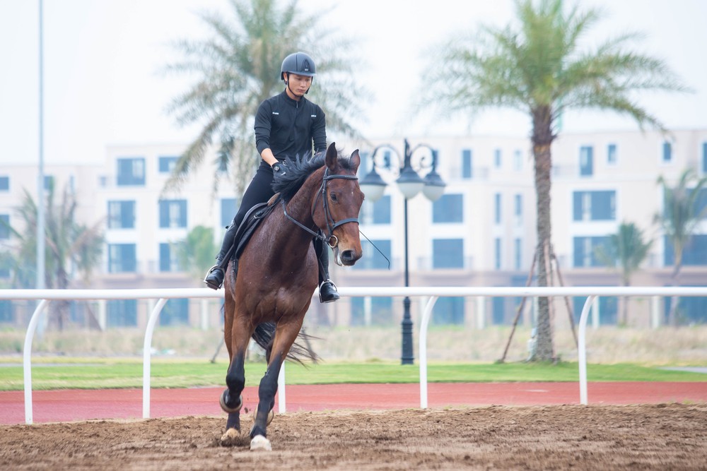 Cận cảnh chế độ chăm s&oacute;c đặc biệt "tuấn m&atilde;" triệu đ&ocirc; tại Hải Ph&ograve;ng- Ảnh 17.
