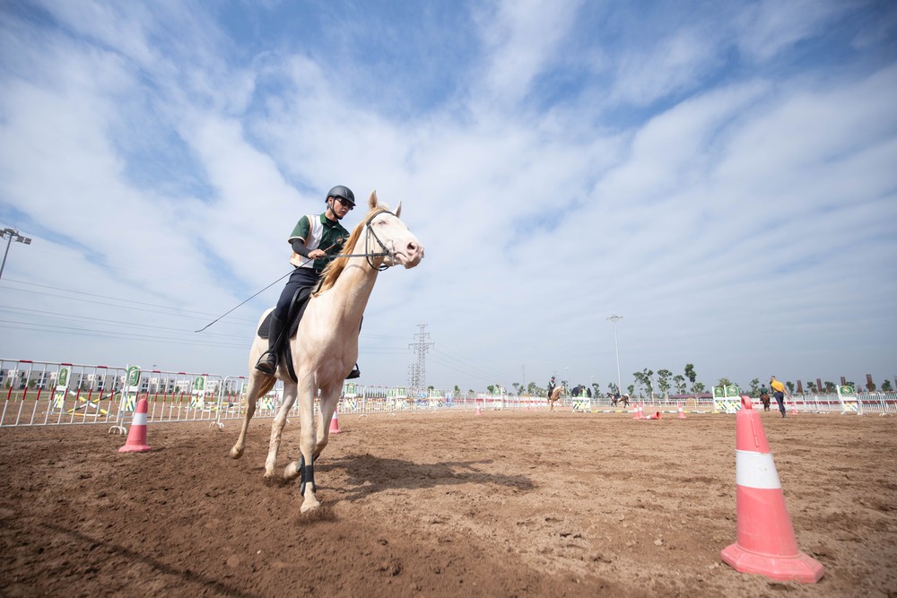 Cận cảnh chế độ chăm s&oacute;c đặc biệt "tuấn m&atilde;" triệu đ&ocirc; tại Hải Ph&ograve;ng- Ảnh 16.