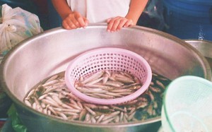 Đặc sản mùa nước nổi miền Tây- Ảnh 6.