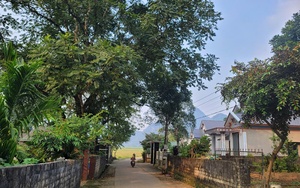 Khởi tố, bắt giam 