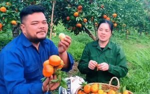 Tin tức Đời sống 30/10: Trào lưu "mukbang" trứng thối và những hệ lụy cho sức khỏe- Ảnh 3.