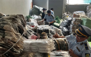 H&agrave; Nội: Ph&aacute;t hiện hơn 10.000 đ&ocirc;i b&iacute;t tất giả nh&atilde;n hiệu Gucci, Nike