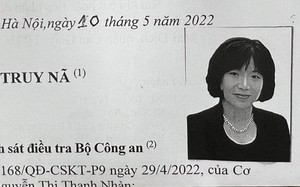 Bộ Công an gửi 98 hồ sơ yêu cầu dẫn độ đối tượng bỏ trốn ra nước ngoài