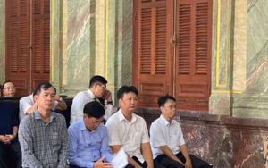 Đề nghị mức án với các cựu cán bộ trong vụ biến đất công thành đất tư