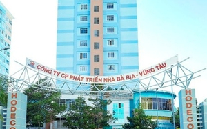 Lý do Công ty CP Phát triển nhà Bà Rịa-Vũng Tàu bị phạt 900 triệu đồng