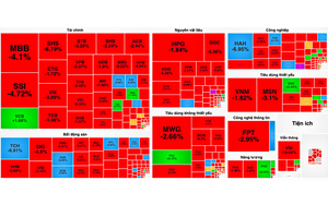 VN-Index cắm đầu giảm 25 điểm