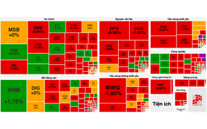 Nỗ lực hồi phục bất thành, VN-Index giảm gần 7 điểm