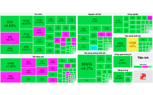 Sắc tím nở rộ, VN-Index bật tăng gần 30 điểm