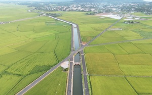 Ngắm những con đường nhựa băng qua cánh đồng lúa đẹp “mê hồn”