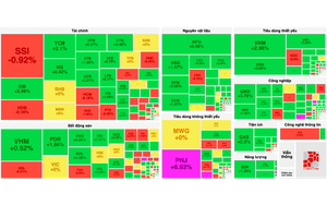 VN-Index tiếp đà thăng hoa, vượt mốc 1.260 điểm