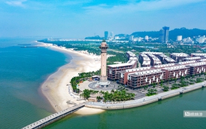 Cận cảnh đảo nhỏ được Quảng Ng&atilde;i nghi&ecirc;n cứu tour lặn biển, ngắm san h&ocirc;- Ảnh 14.