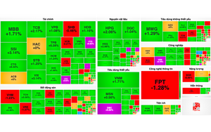 VN-Index đảo chiều, tăng 10 điểm cuối phiên