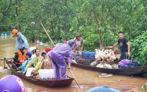 Hội Nhà báo Việt Nam kêu gọi ủng hộ khắc phục những thiệt hại do cơn bão số 3 gây ra