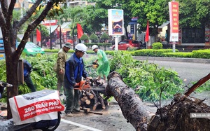 Thanh Hóa: Gió to làm cây gãy đổ, mưa lớn khiến đường ngập cục bộ trước siêu bão Yagi