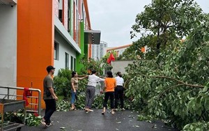 Hà Nội: 39 trường chưa thể dạy học sau bão Yagi