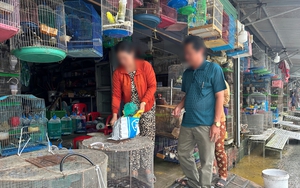 Tây Ninh mở chiến dịch truy quét những "bẫy ngầm" tận diệt động vật hoang dã- Ảnh 9.