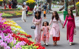 Chưa đến Tết nguy&ecirc;n đ&aacute;n B&iacute;nh Ngọ, nhiều tour đ&atilde; k&iacute;n 60&ndash;80% chỗ- Ảnh 4.