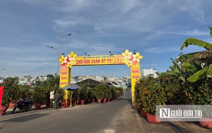 Người trồng hoa Vĩnh Long thấp thỏm m&ugrave;a Tết giữa biến đổi thời tiết- Ảnh 6.