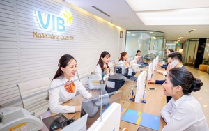 Nợ có khả năng mất vốn của VIB tăng gấp gần 3 lần