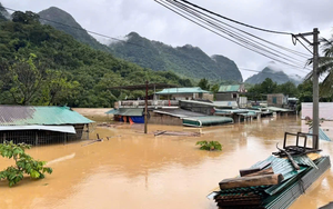 Từ nước hoa đến dầu gi&oacute; giả: C&aacute;i gi&aacute; phải trả cho sự cả tin - Ảnh 3.