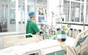 Sốt xuất huyết tăng 38 ca trong một tuần, nguy cơ bùng phát diện rộng - Ảnh 2.